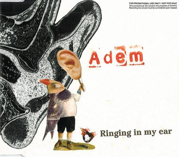 Adem (2) - Ringing In My Ear