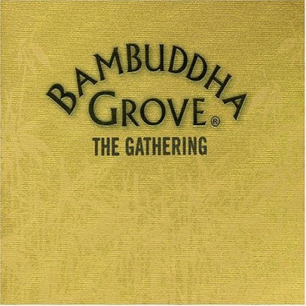  - Bambuddha Grove - The Gathering