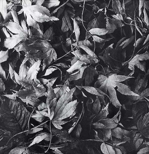 Bark Psychosis - All Different Things / By-Blow