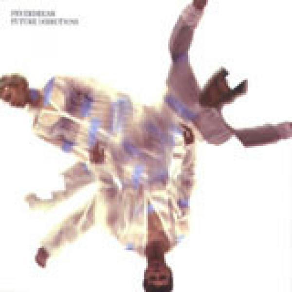 Feverdream - Future Directions