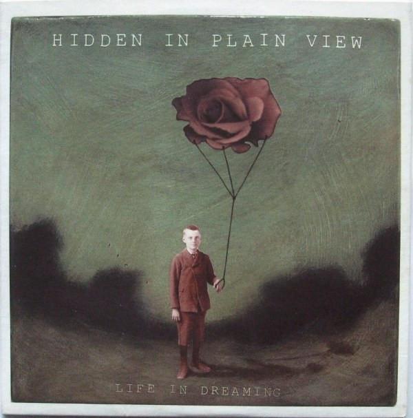Hidden In Plain View - Life In Dreaming