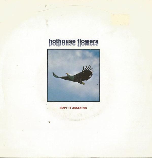 Hothouse Flowers - Isn't It Amazing