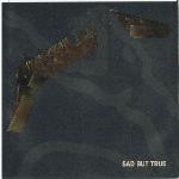 Metallica - Sad But True