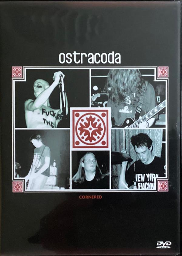 Ostracoda - Cornered