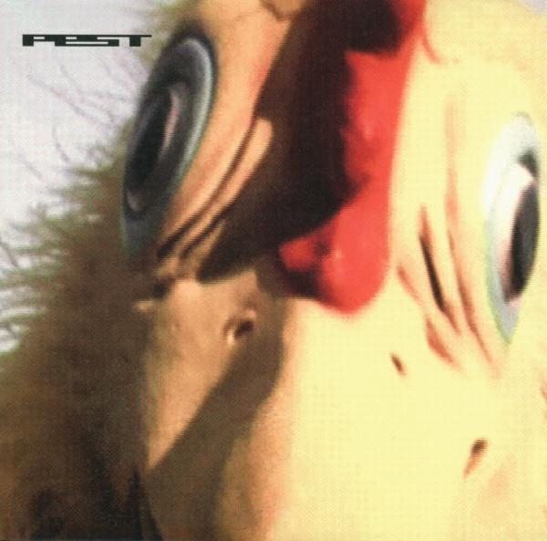 Pest - Chicken Spit