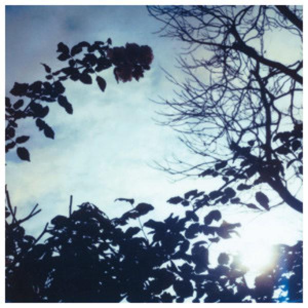 Pillow (2) - Flowing Seasons