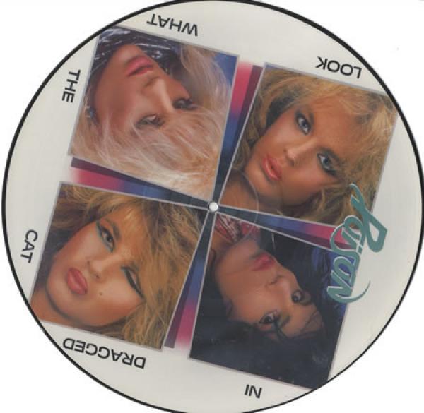 Poison (3) - Look What The Cat Dragged In