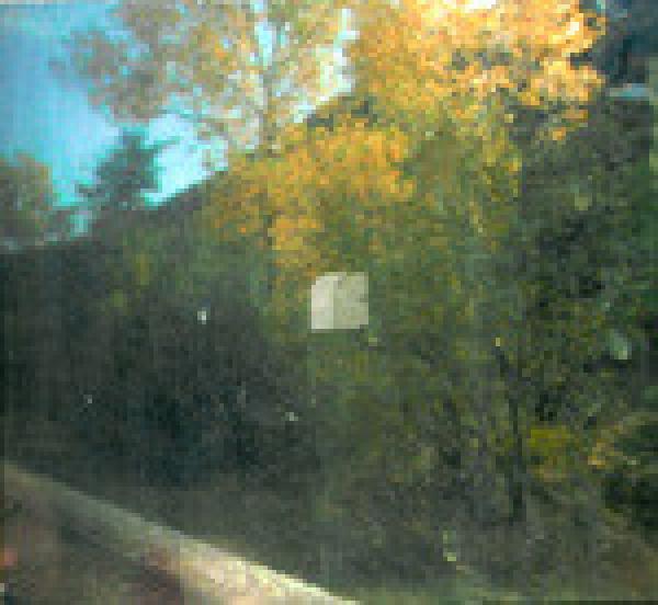 Ryan Francesconi - Falls