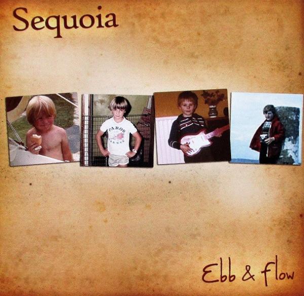 Sequoia (15) - Ebb & Flow