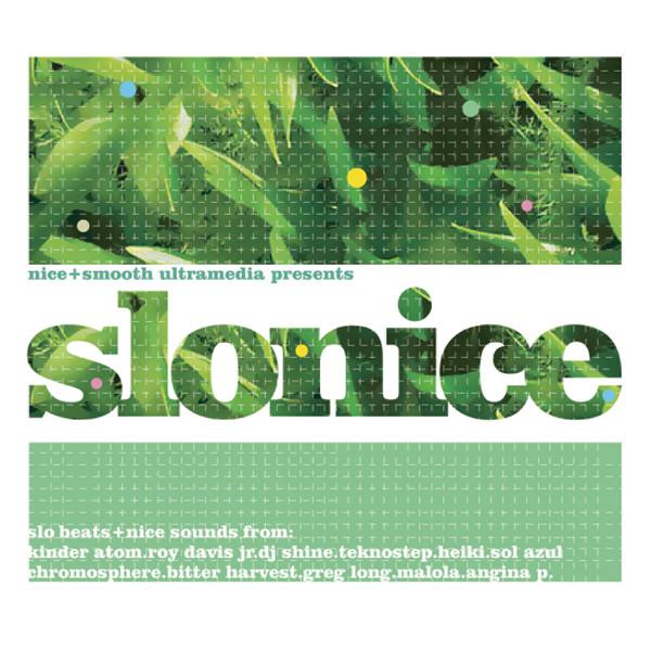  - Slonice