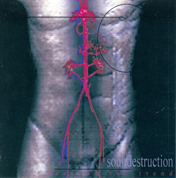 Soul Destruction - Descend The Trend
