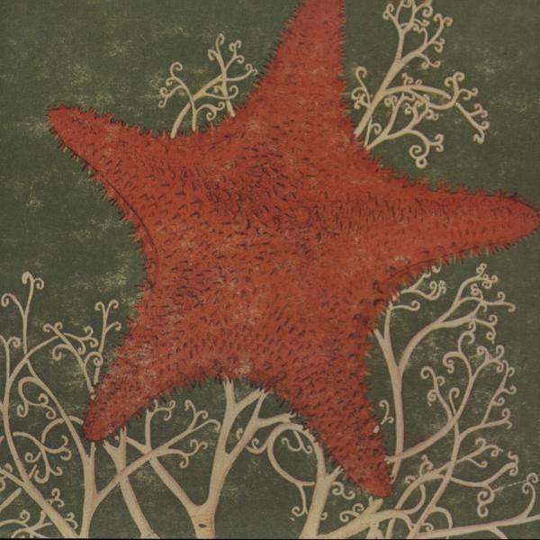 The Blithe Sons - Arm Of The Starfish