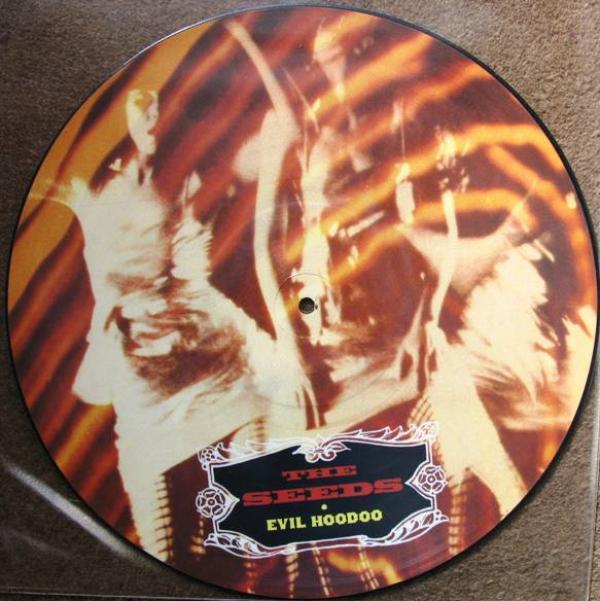 The Seeds - Evil Hoodoo