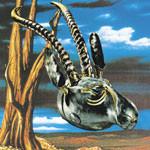 The Skygreen Leopards - Jehovah Surrender