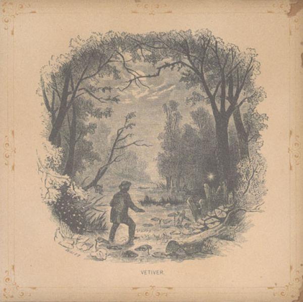 Vetiver - Vetiver