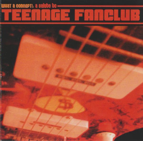  - What A Concept!: A Salute To Teenage Fanclub